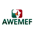 African Welding and Metallurgical Foundation
